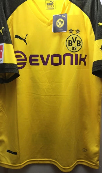 Borussia Dortmund Marco Reus 2018-19